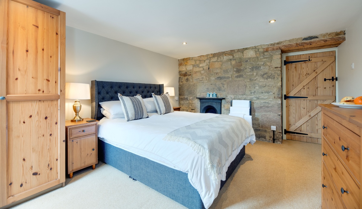 Guillemot - Northumberland